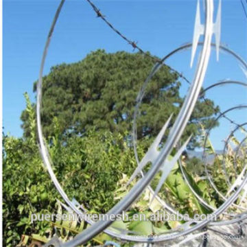 Bester Preis Razor Wire Single Coil (Hersteller, Fabrik)